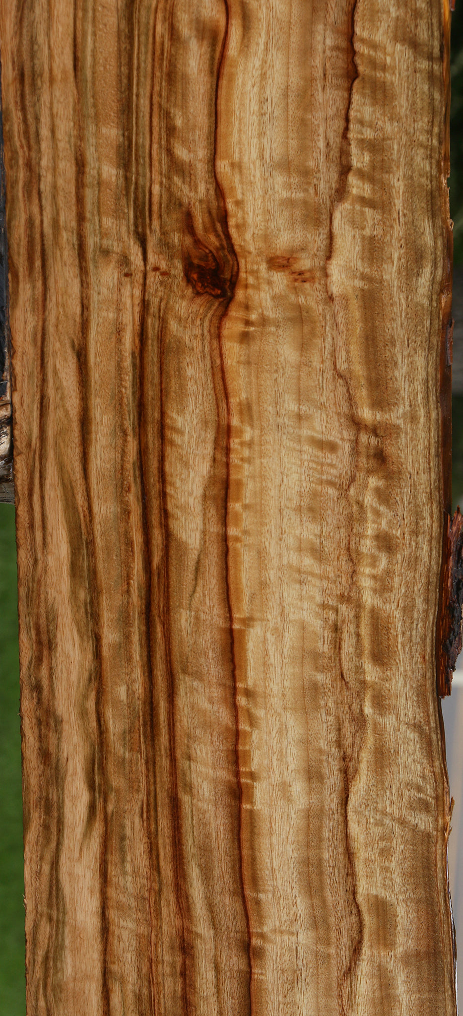 Extra Fancy Camphor Live Edge Lumber