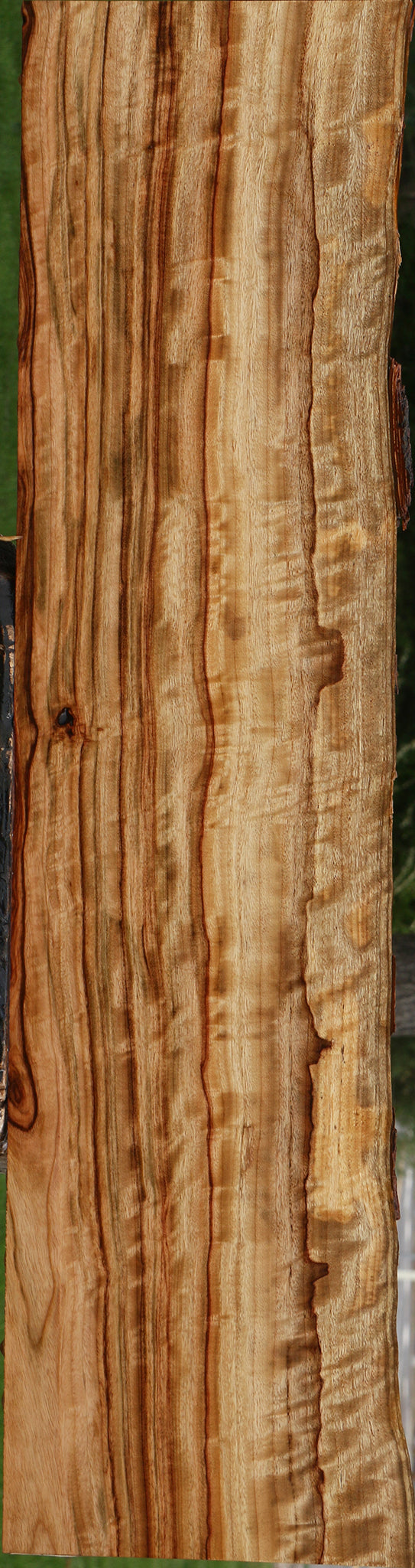 Extra Fancy Camphor Live Edge Lumber