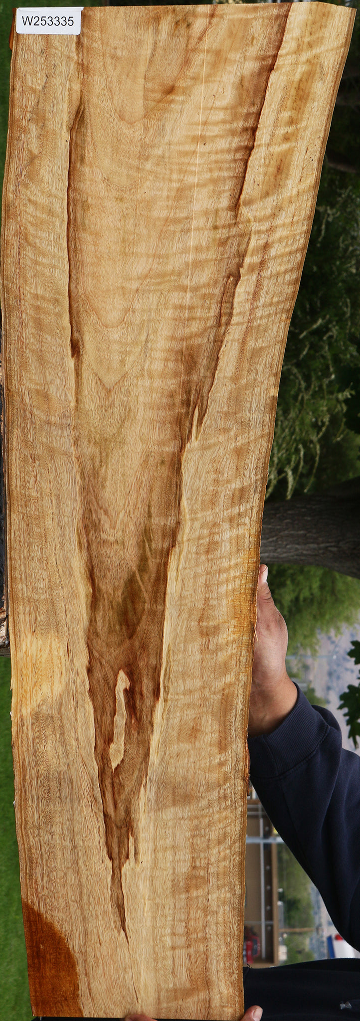 Extra Fancy Camphor Live Edge Lumber