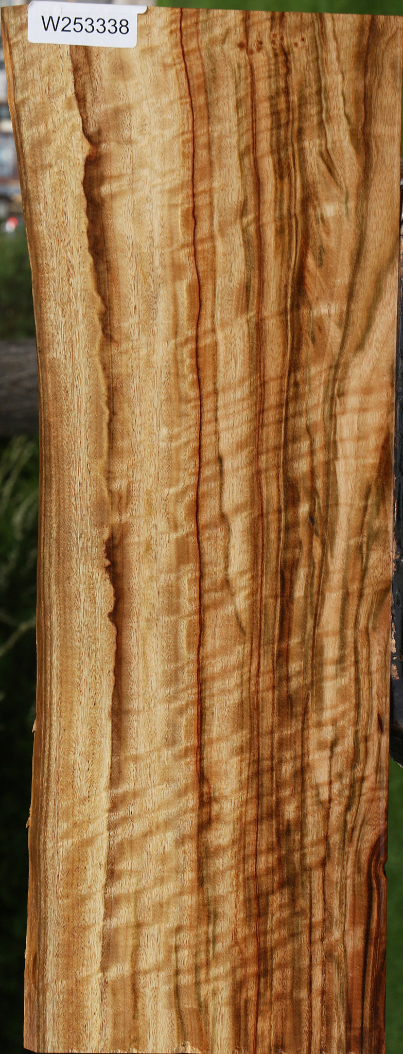 Extra Fancy Camphor Live Edge Lumber