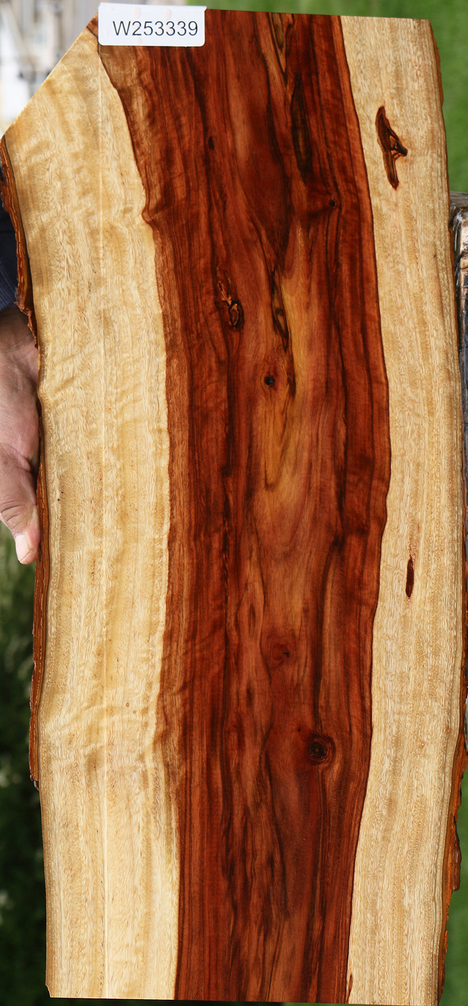 Figured Camphor Live Edge Lumber
