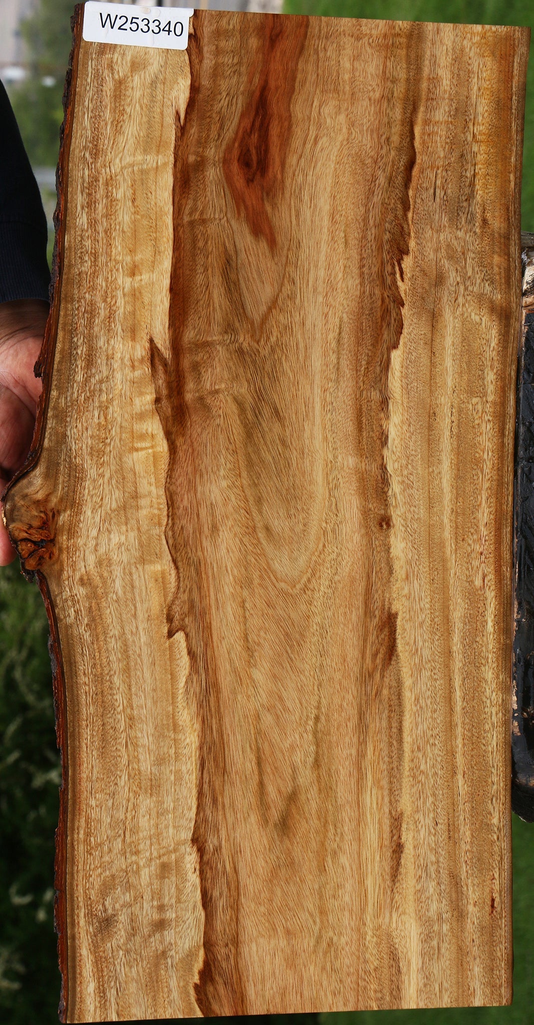 Figured Camphor Lumber