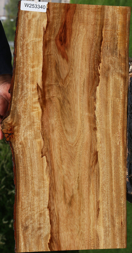 Figured Camphor Lumber