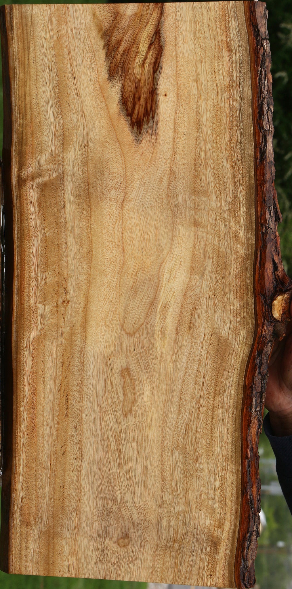 Figured Camphor Lumber