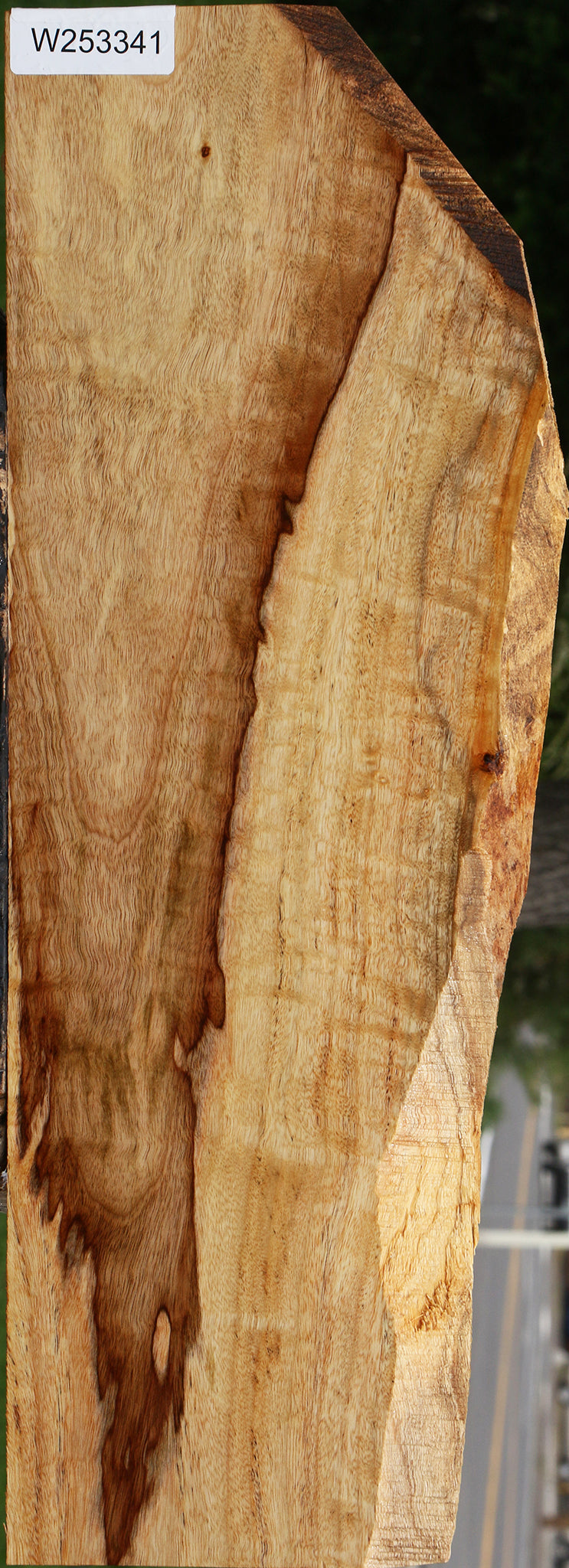Figured Camphor Live Edge Lumber