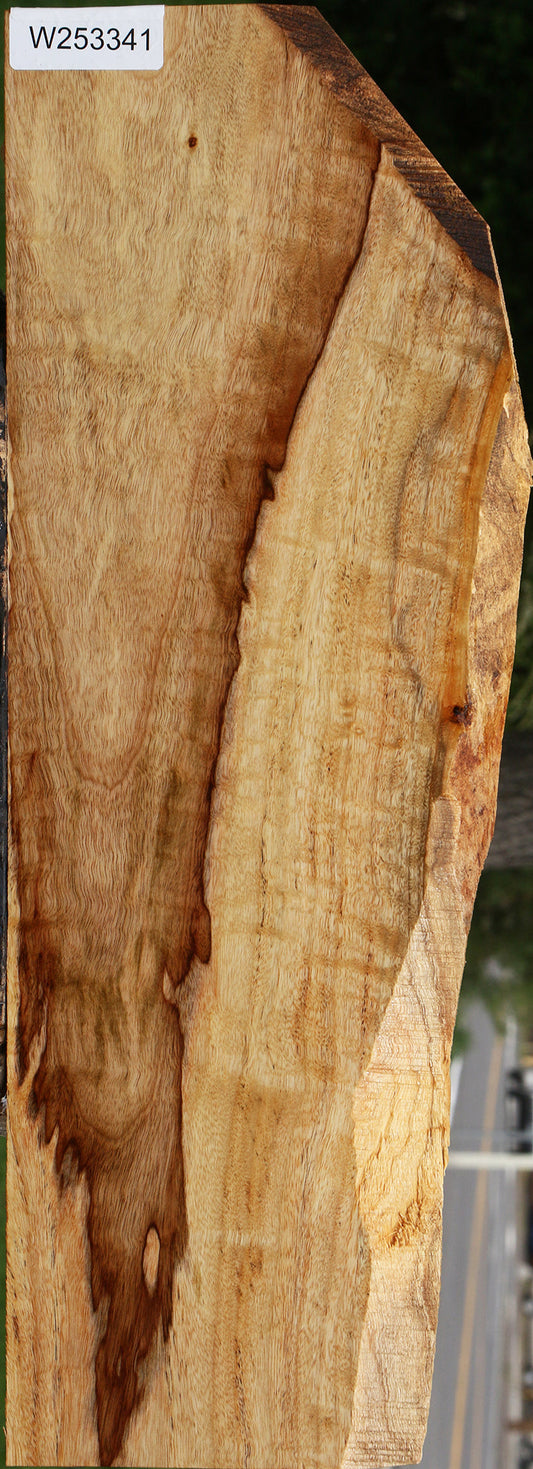 Figured Camphor Live Edge Lumber