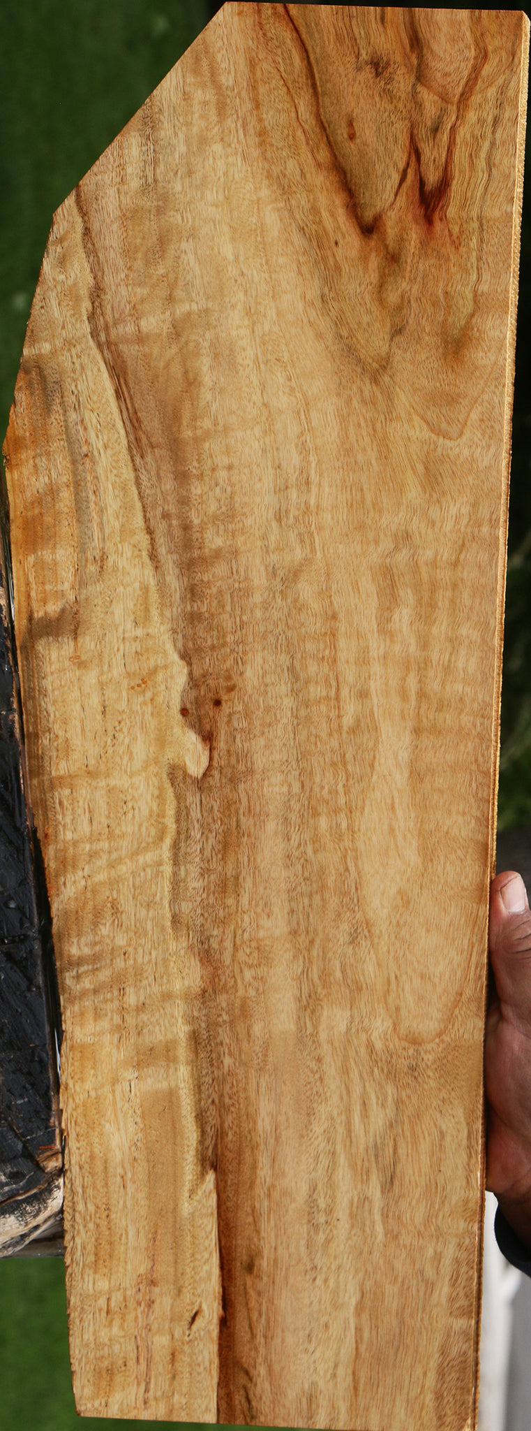 Figured Camphor Live Edge Lumber