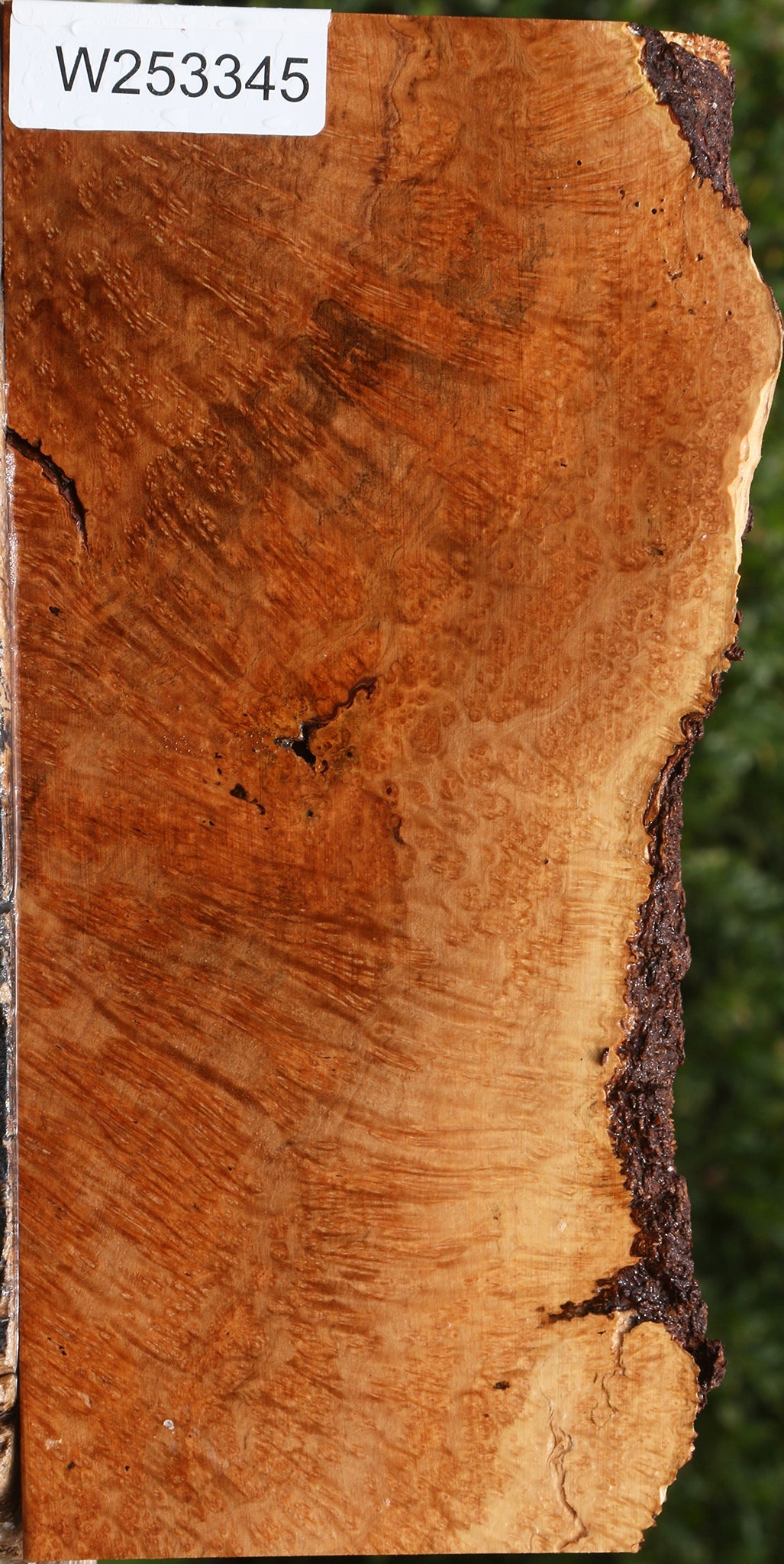 Kanista Burl Live Edge Lumber
