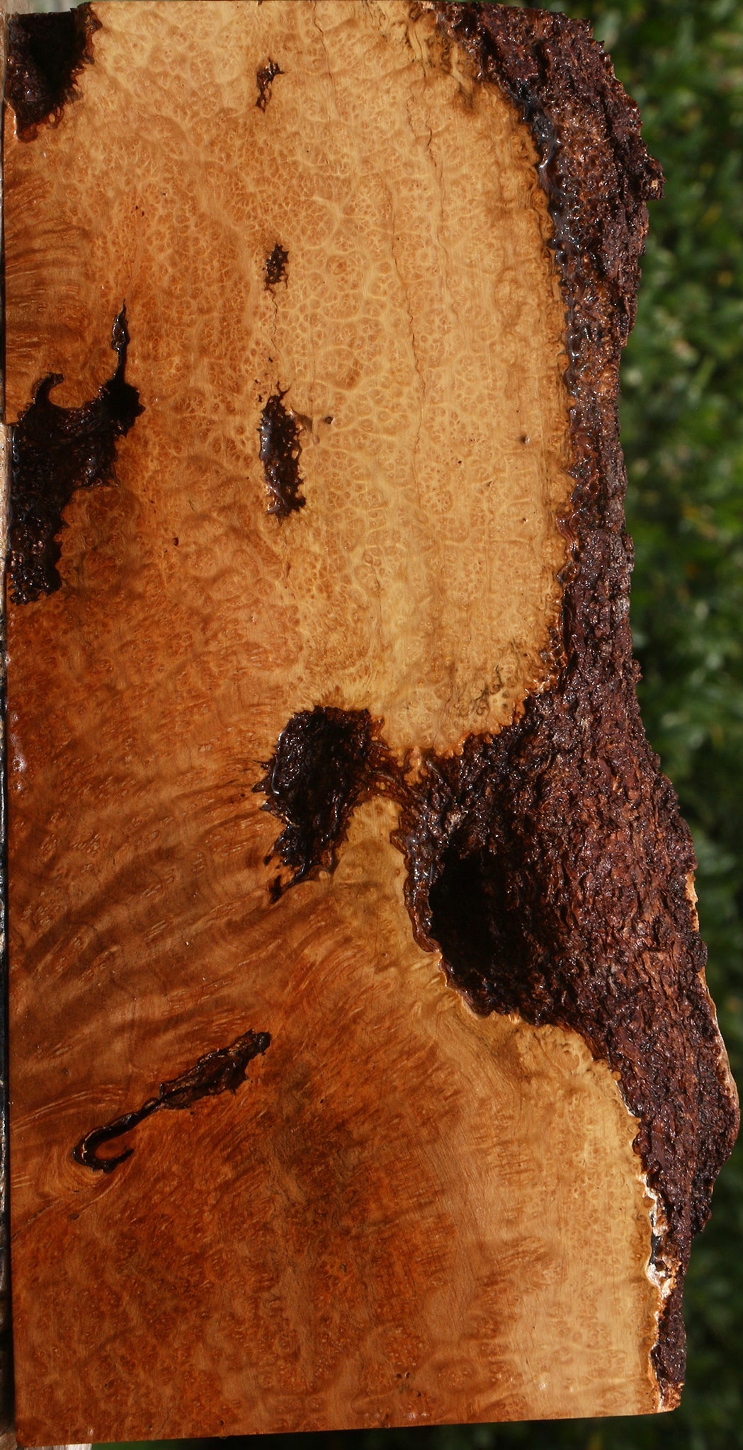 Kanista Burl Live Edge Lumber