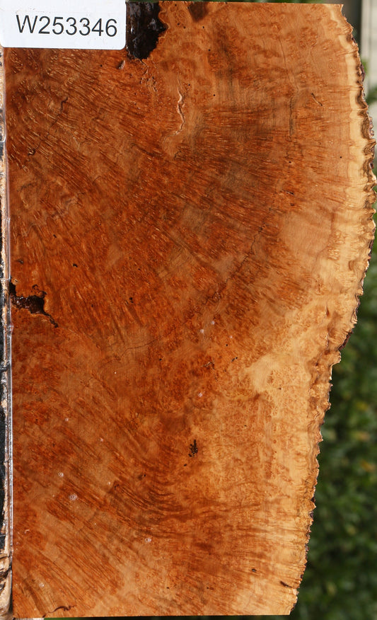 Kanista Burl Live Edge Lumber