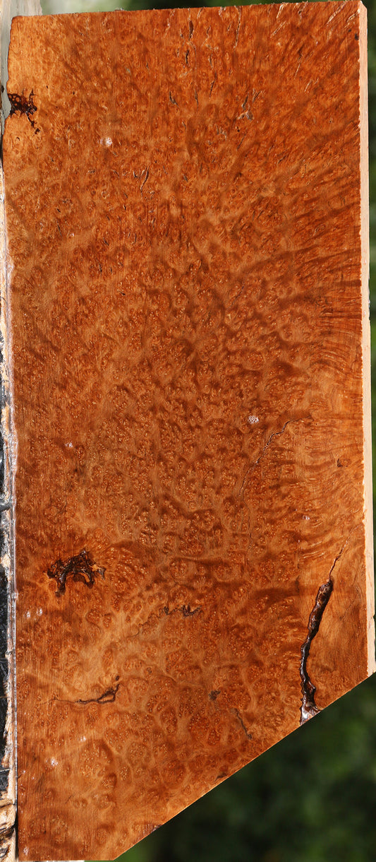 Kanista Burl Lumber