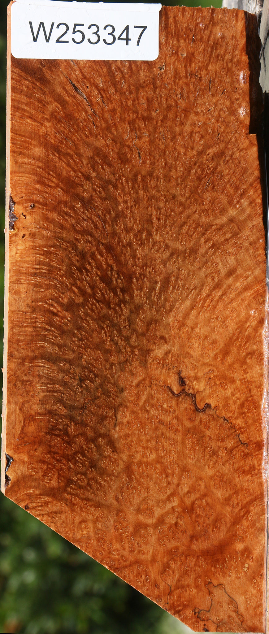 Kanista Burl Lumber