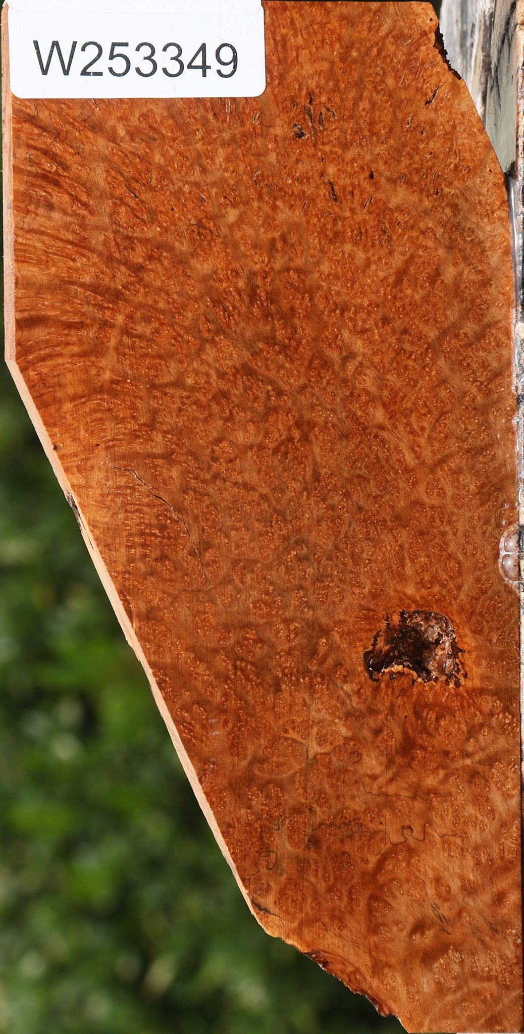 Kanista Burl Lumber