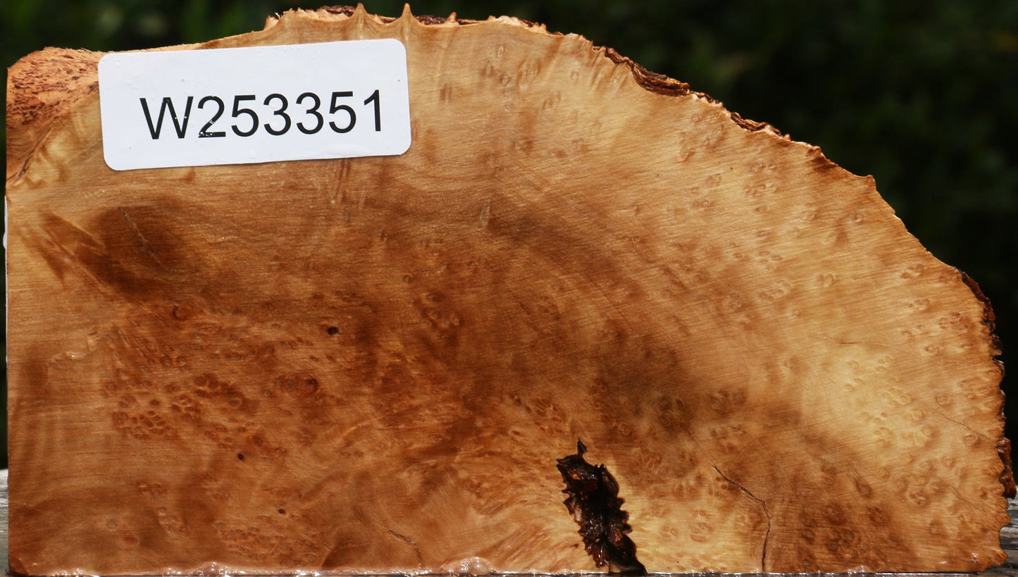 Kanista Burl Live Edge Lumber