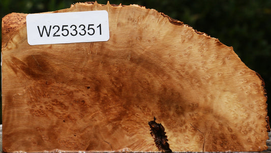 Kanista Burl Live Edge Lumber