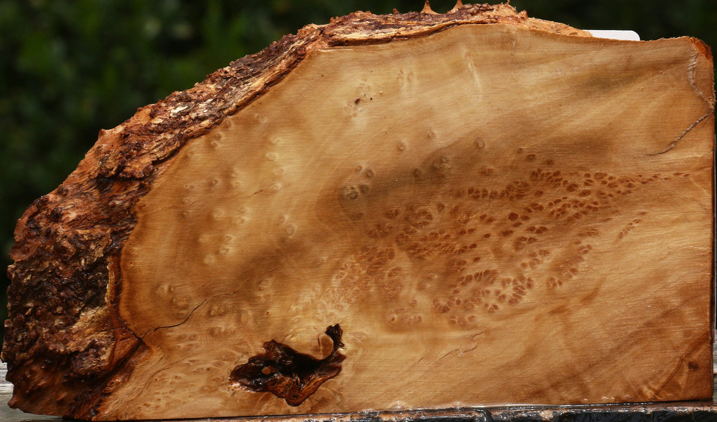 Kanista Burl Live Edge Lumber
