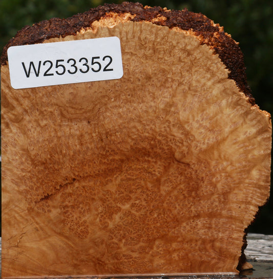 Kanista Burl Live Edge Lumber