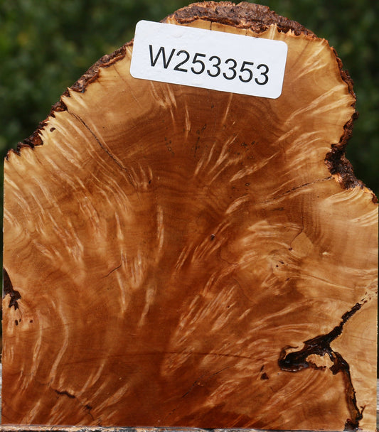 Kanista Burl Live Edge Bowl Blank