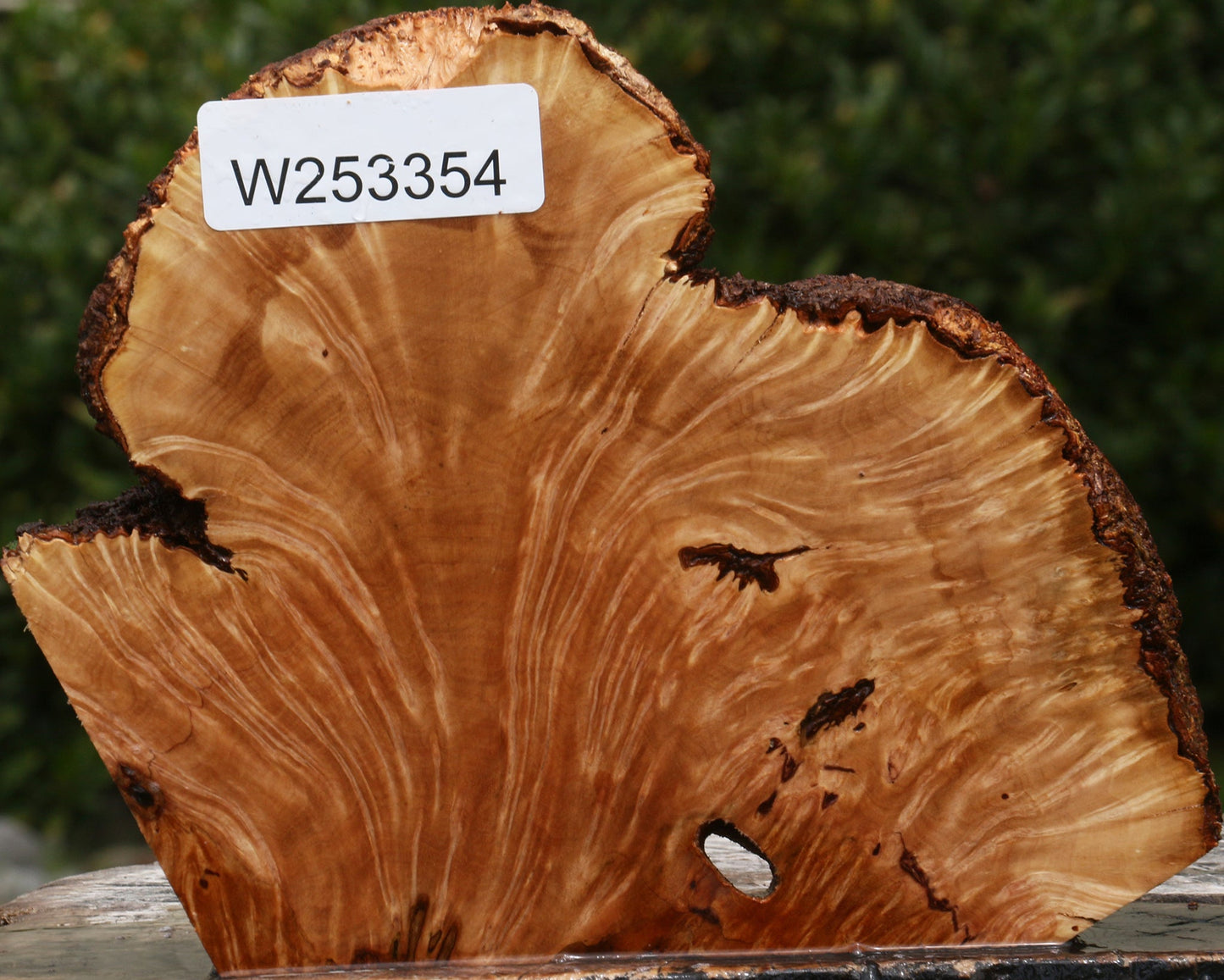Kanista Burl Live Edge Slice