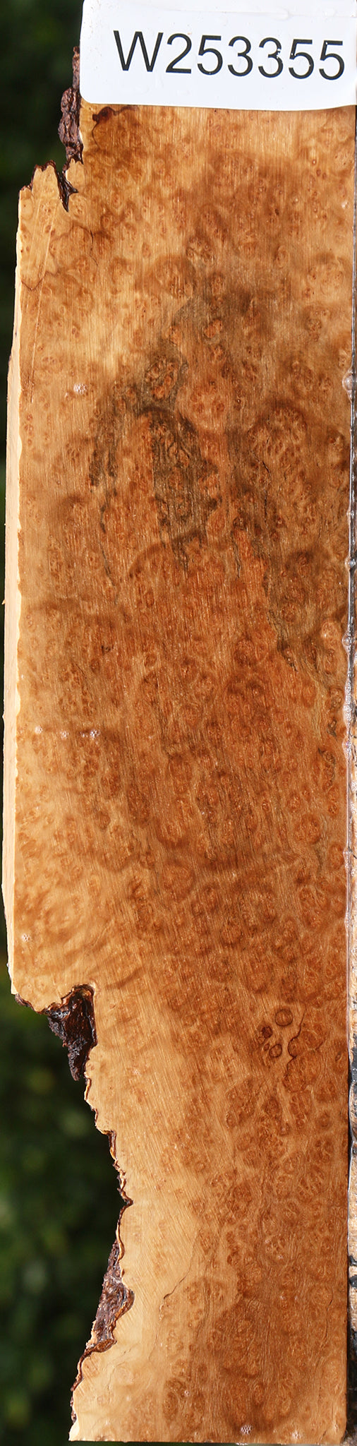 Kanista Burl Lumber