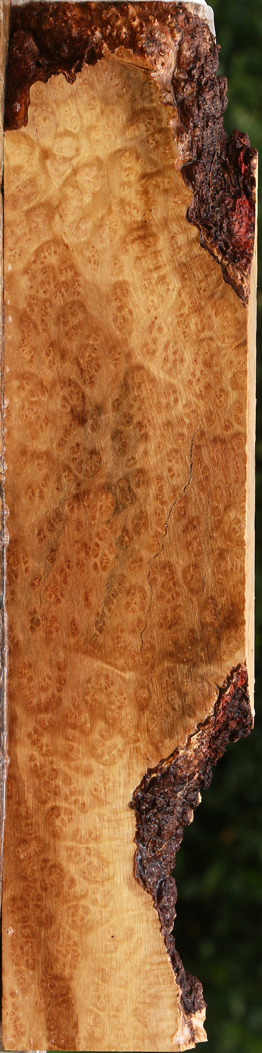 Kanista Burl Lumber