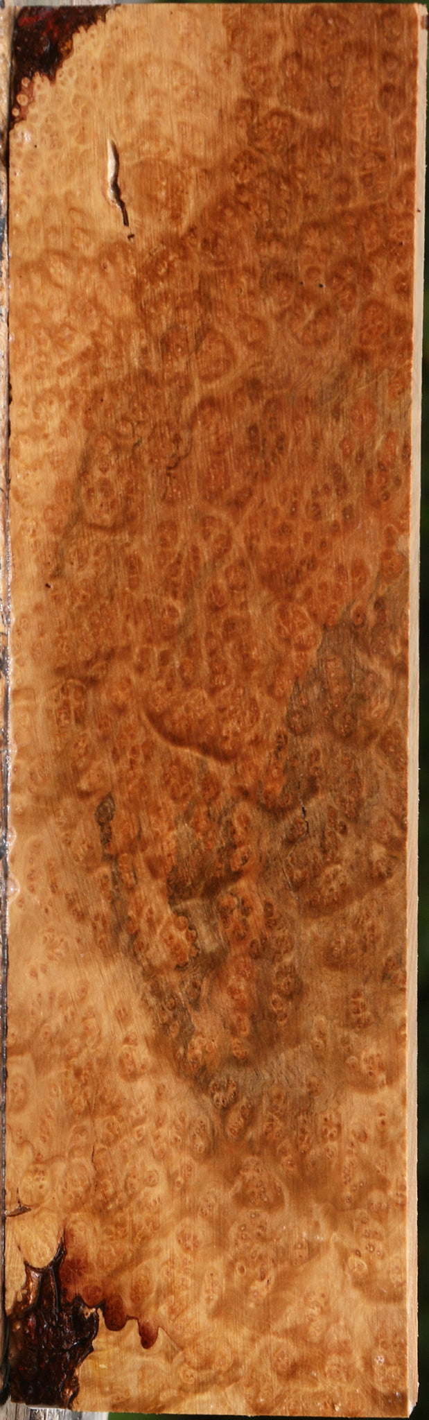 Kanista Burl Lumber