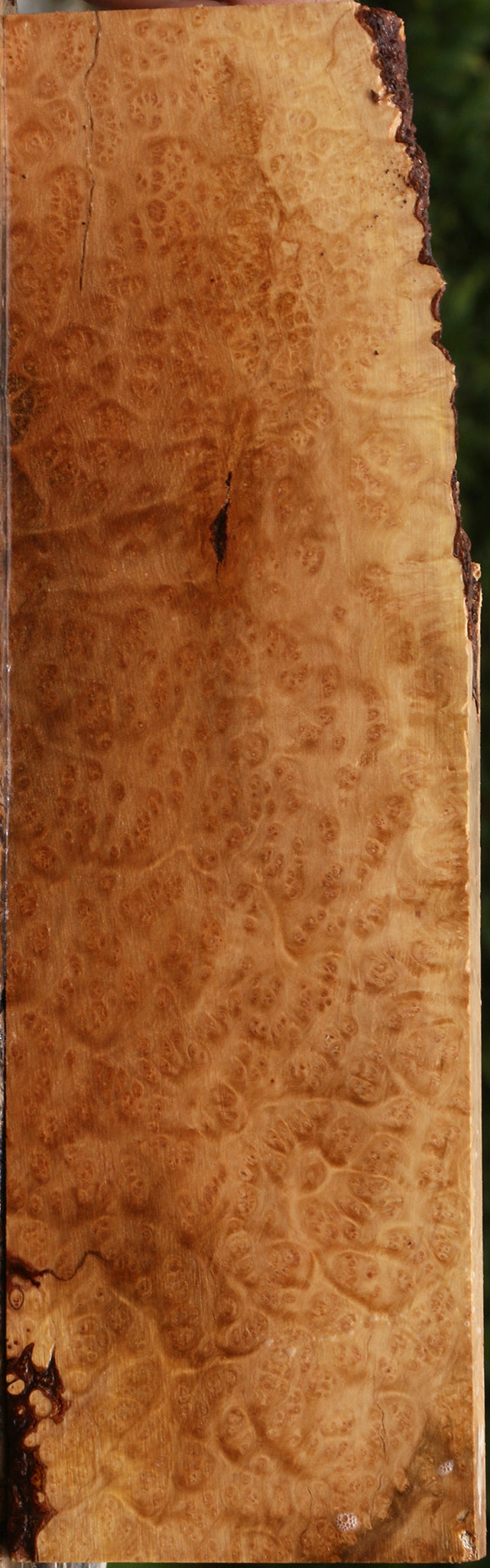 Kanista Burl Lumber