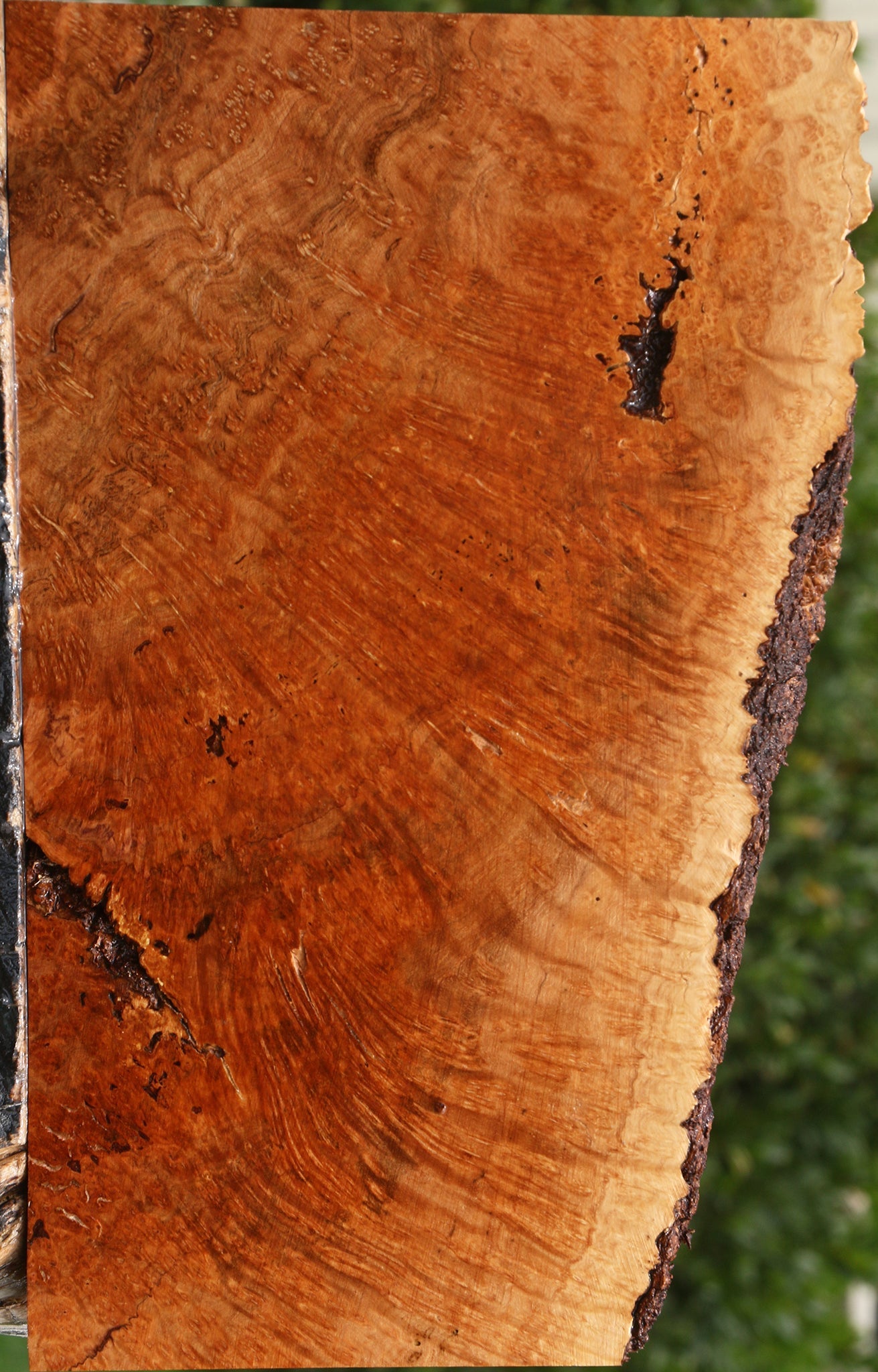 Kanista Burl Live Edge Lumber
