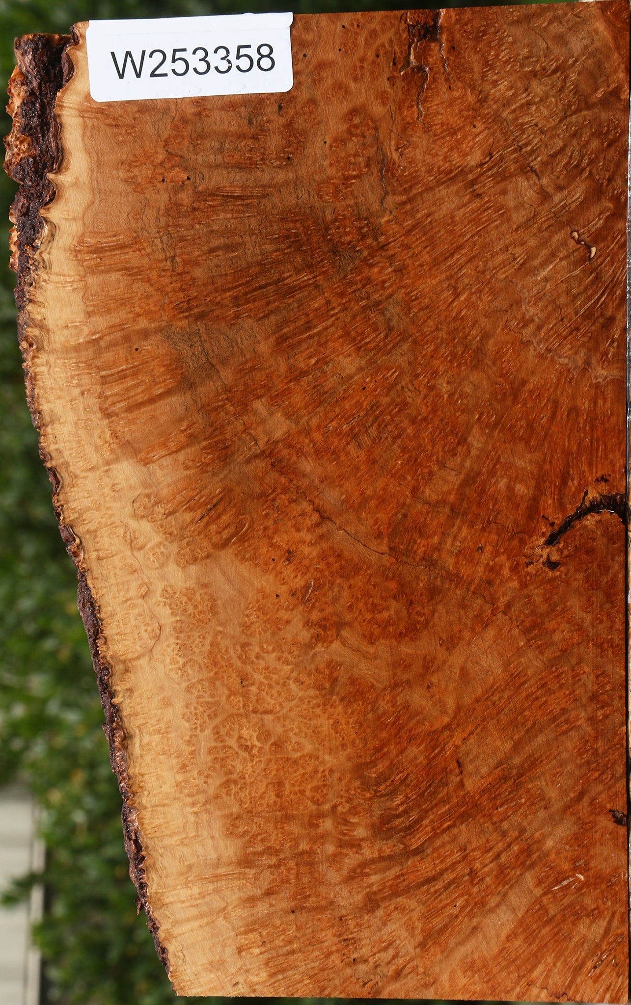 Kanista Burl Live Edge Lumber
