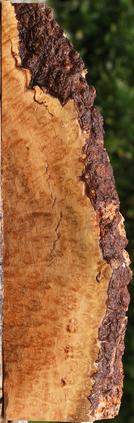 Kanista Burl Live Edge Lumber