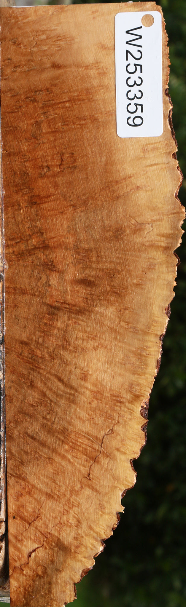 Kanista Burl Live Edge Lumber