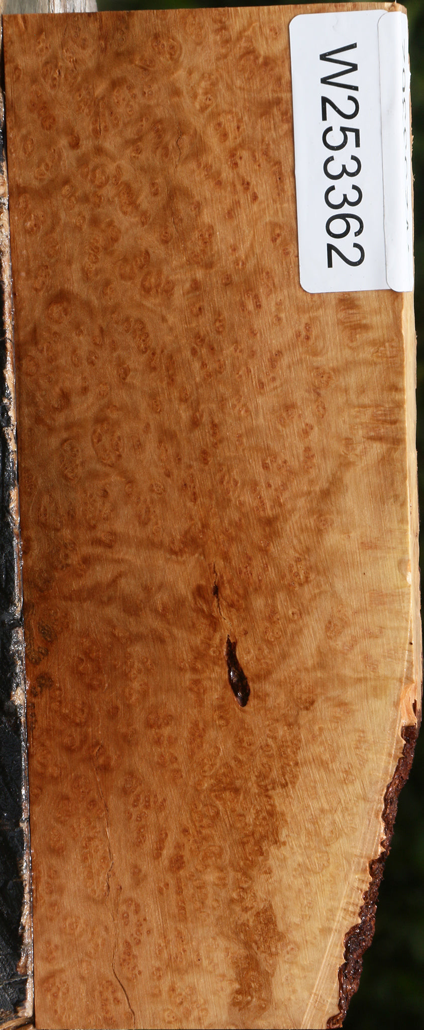 Kanista Burl Live Edge Lumber