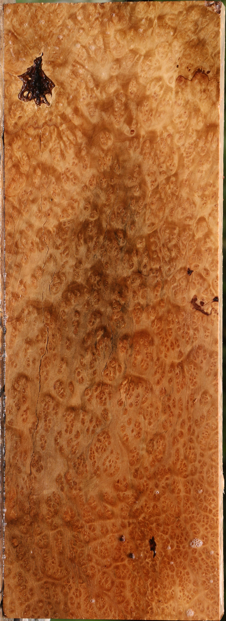 Kanista Burl Lumber