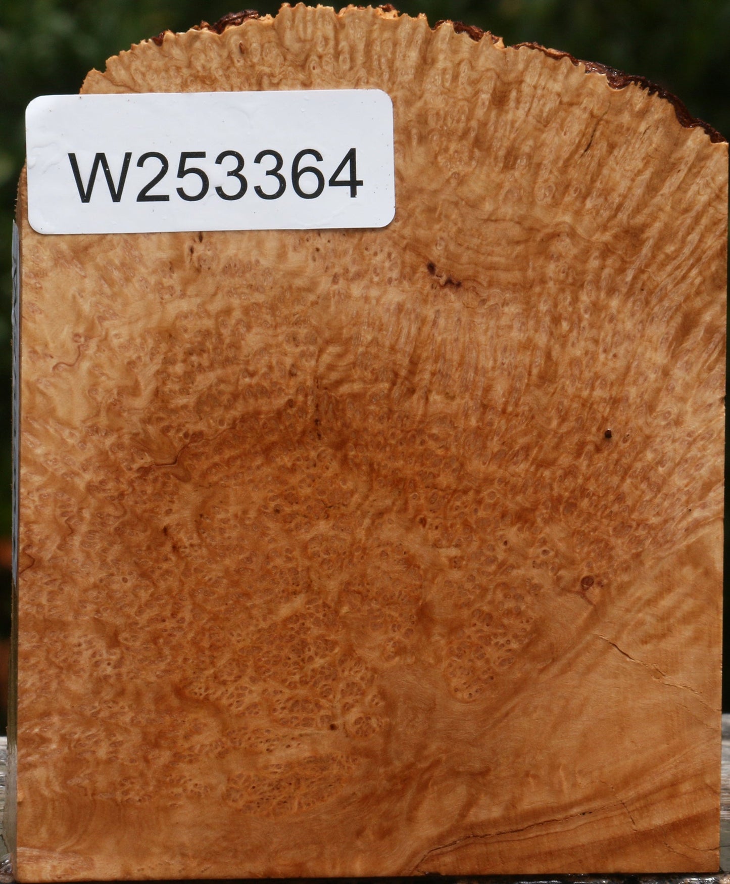 Kanista Burl Live Edge Turning Blank