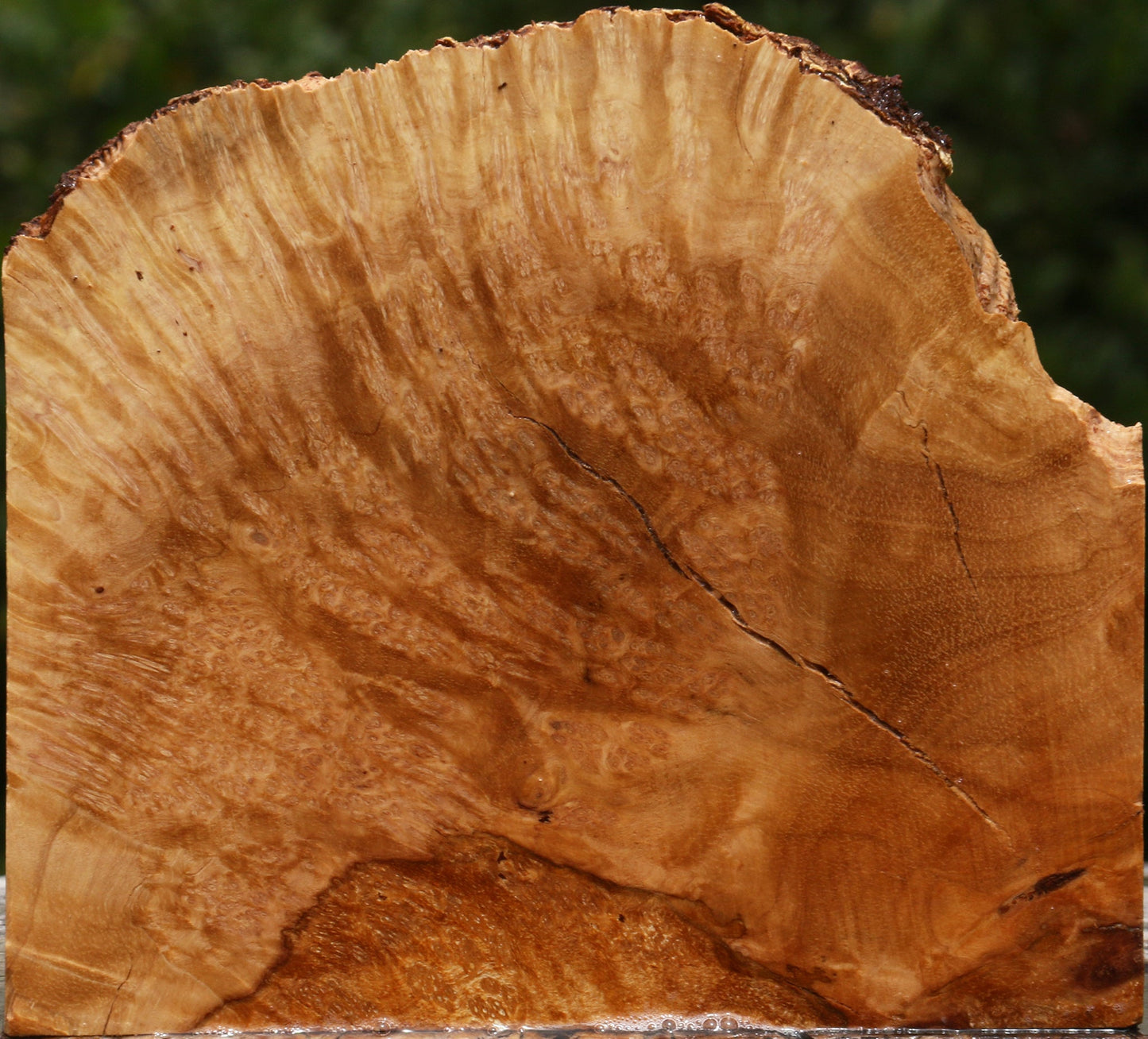 Kanista Burl Live Edge Lumber