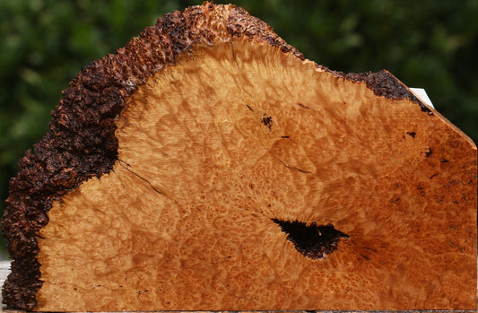 Kanista Burl Live Edge Lumber