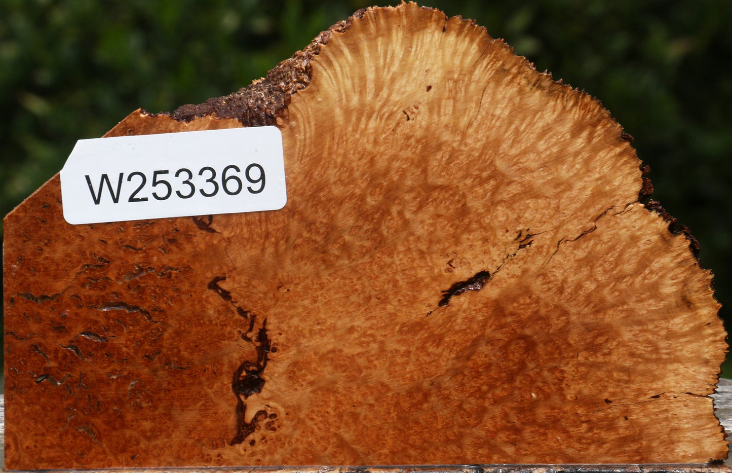 Kanista Burl Live Edge Lumber