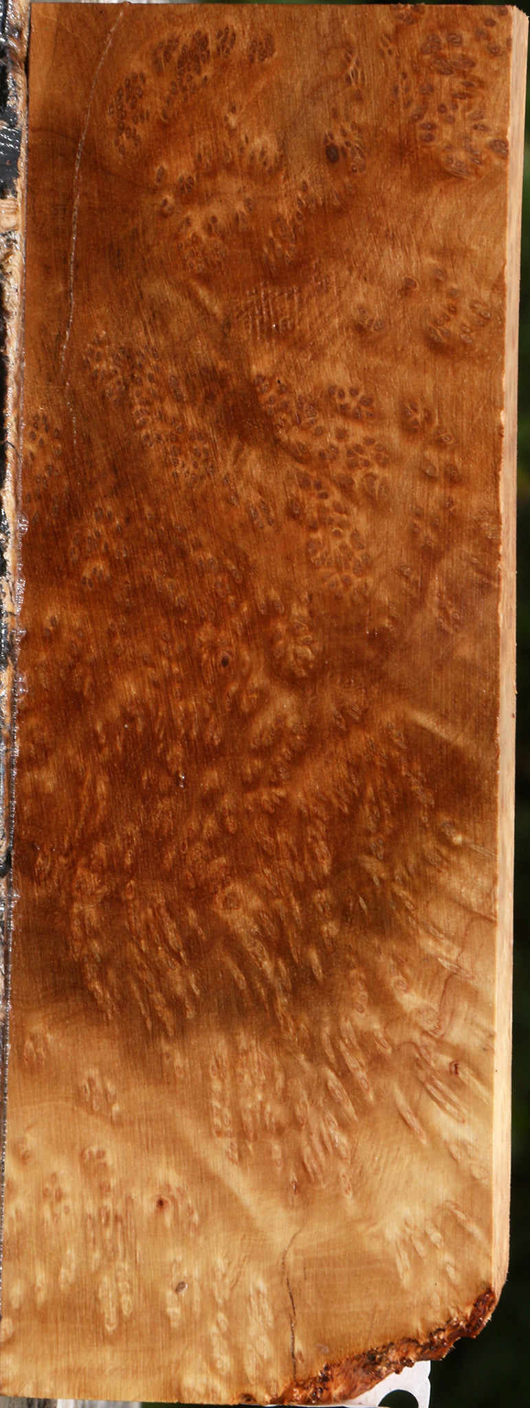 Kanista Burl Lumber