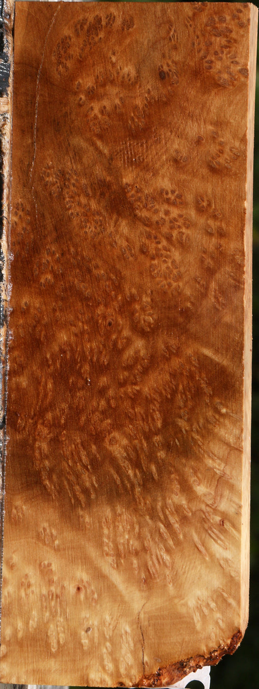 Kanista Burl Lumber