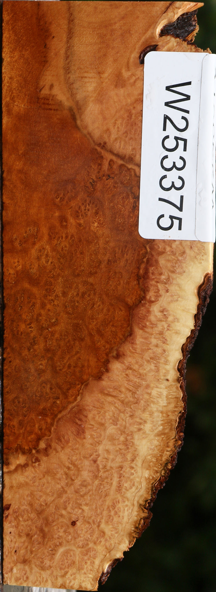 Kanista Burl Live Edge Lumber