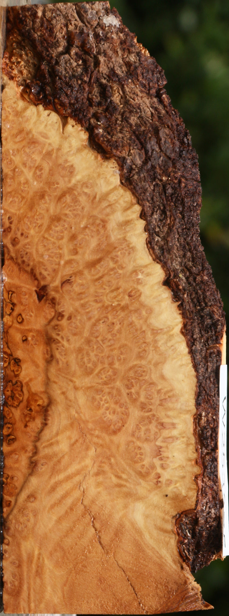 Kanista Burl Live Edge Lumber