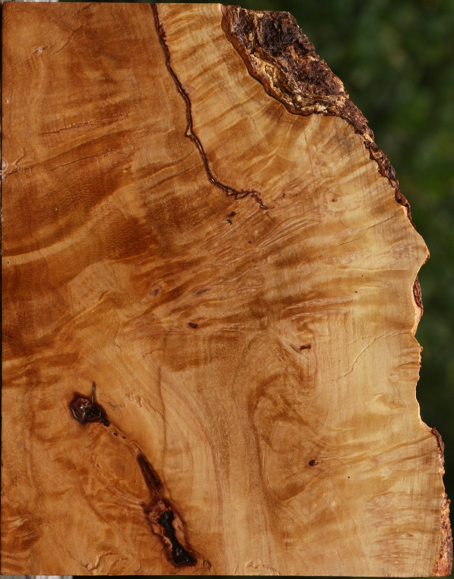 Kanista Burl Live Edge Lumber
