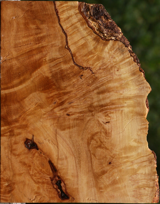 Kanista Burl Live Edge Lumber