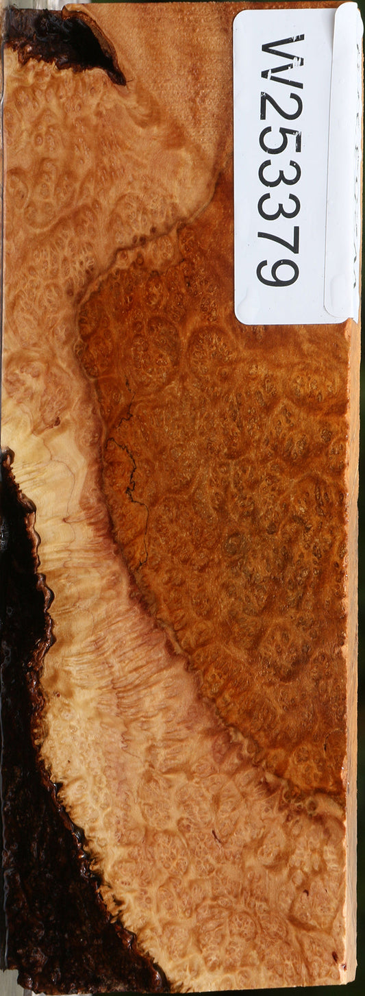Kanista Burl Lumber