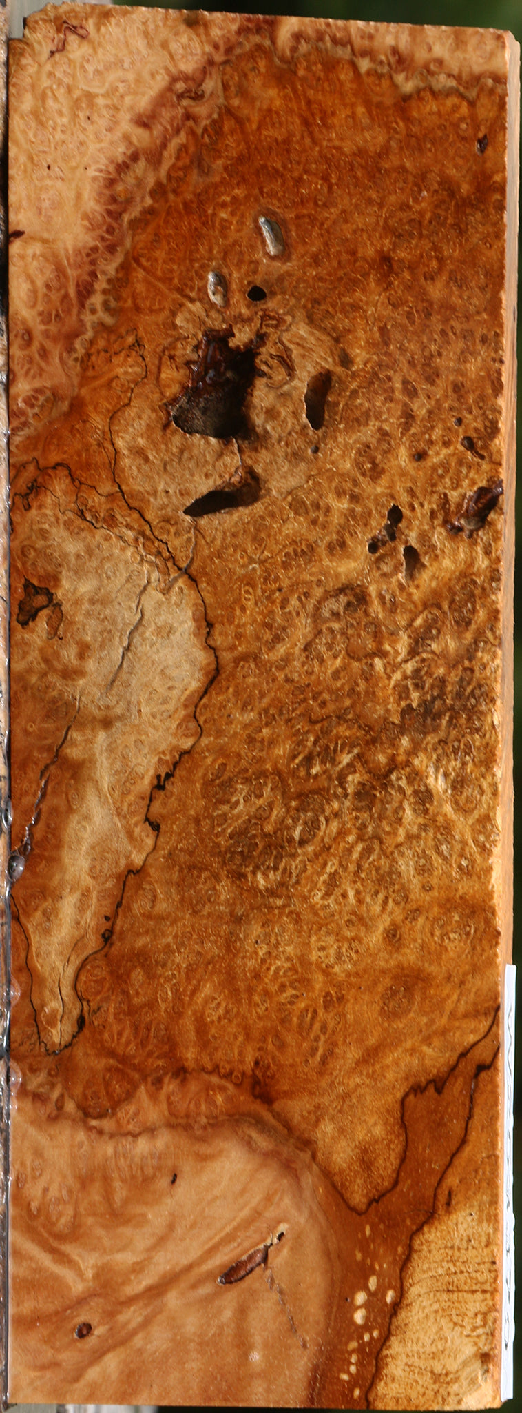 Kanista Burl Lumber
