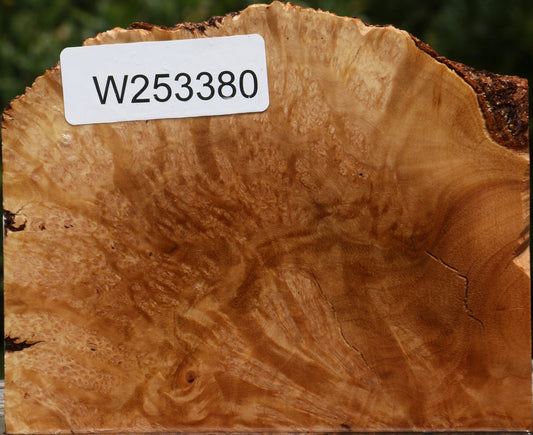 Kanista Burl Live Edge Lumber