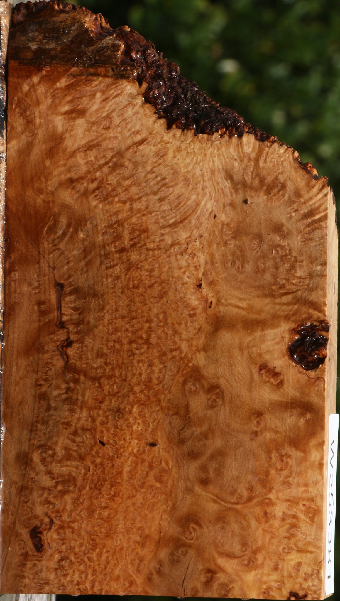 Kanista Burl Live Edge Lumber