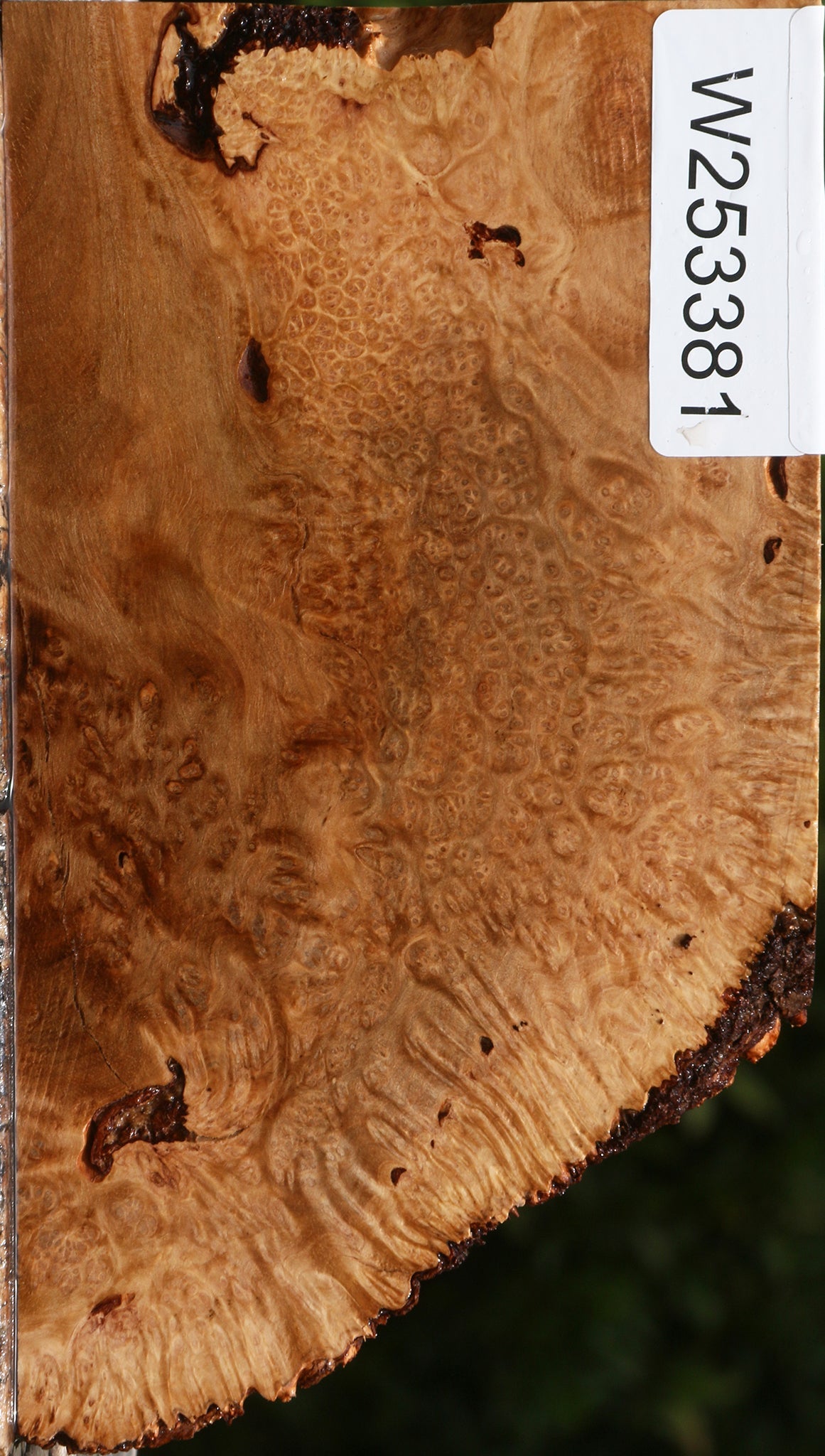 Kanista Burl Live Edge Lumber