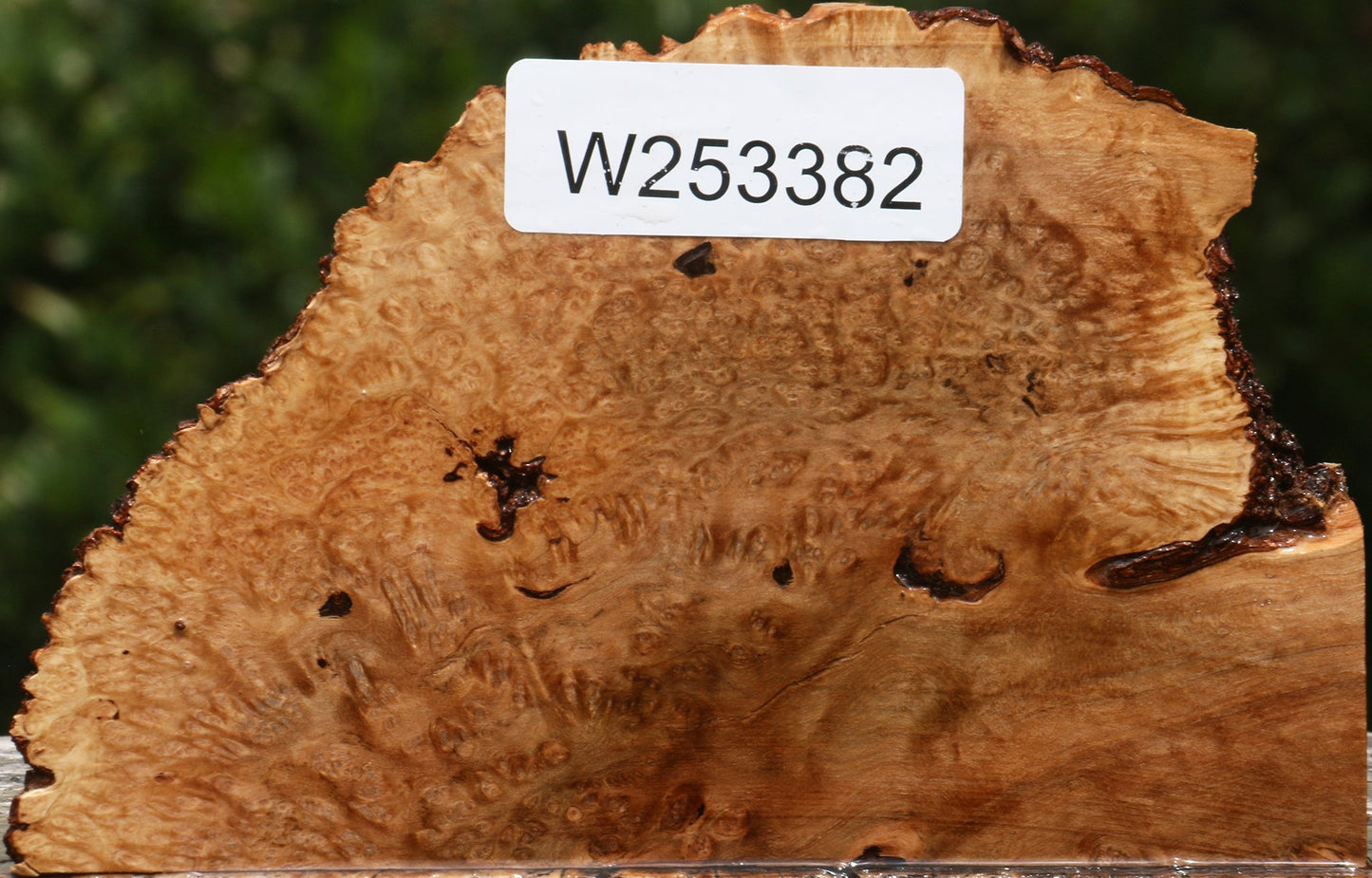 Kanista Burl Live Edge Turning Blank