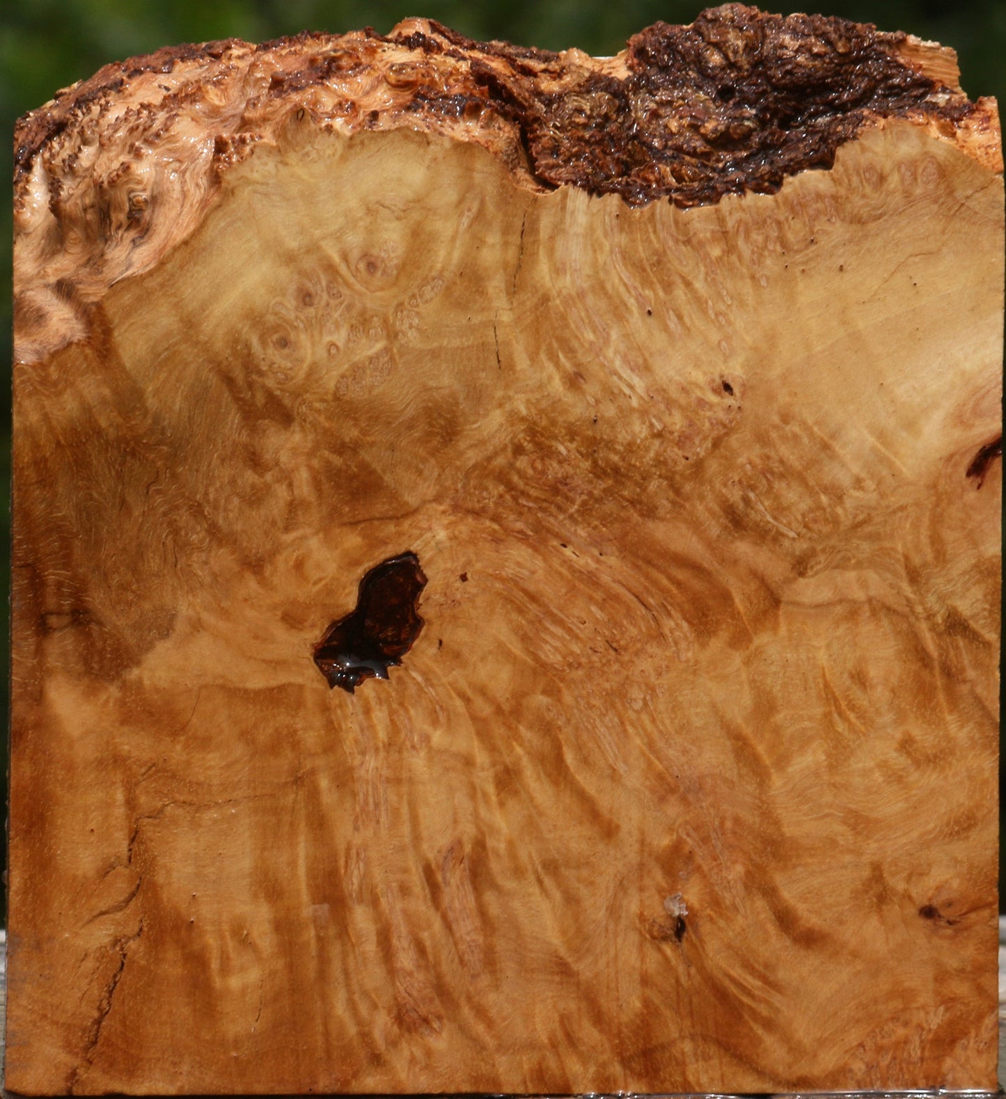 Kanista Burl Live Edge Turning Blank